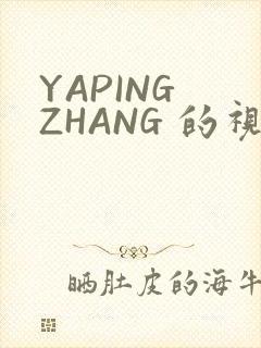 YAPING ZHANG 的视频 IVK