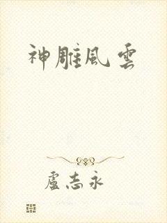 神雕风云