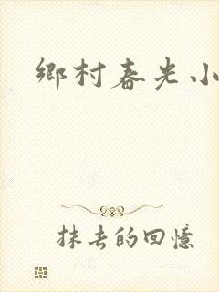 乡村春光小说