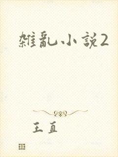 杂乱小说2