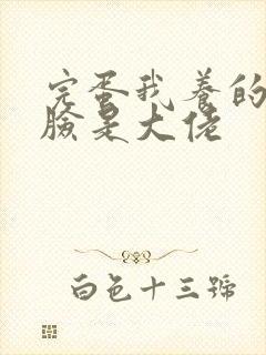 完蛋我养的小白脸是大佬