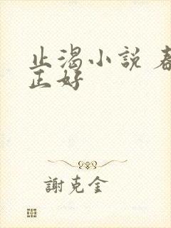 止渴小说 春光正好