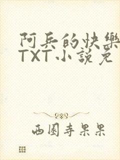 阿兵的快乐生活TXT小说免费阅读全章