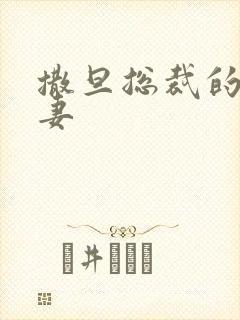 撒旦总裁的下堂妻