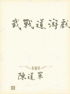 武战道游戏