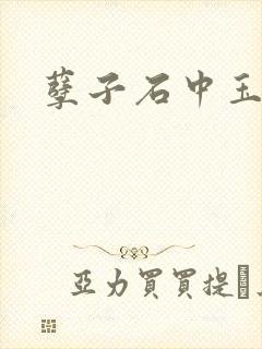 孽子石中玉