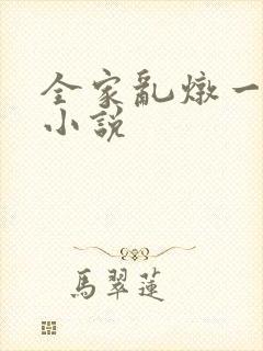 全家乱炖一锅烩小说