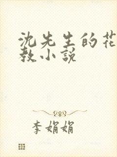 沈先生的花式管教小说