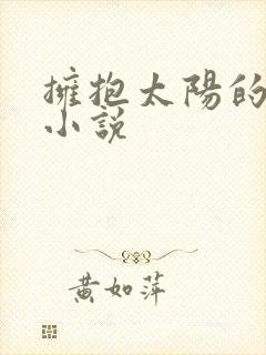 拥抱太阳的月亮小说