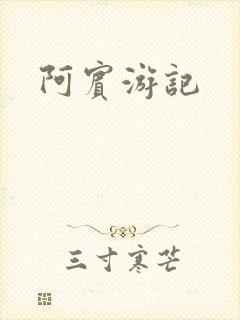 阿宾游记封面
