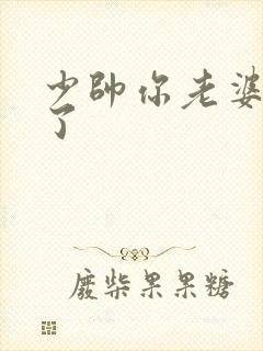 少帅你老婆又跑了