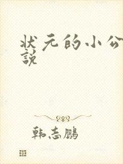 状元的小公主小说