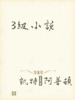 3级小说