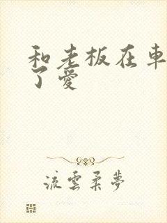 和老板在车里做了爱