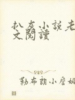 扒灰小说老马全文阅读