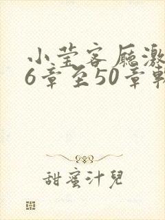 小莹客厅激情46章至50章软件介绍