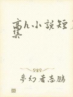 高h小说短篇合集