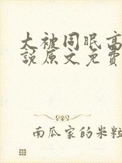 大被同眠高粱小说原文免费阅读