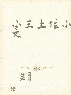 小三上位小说全文