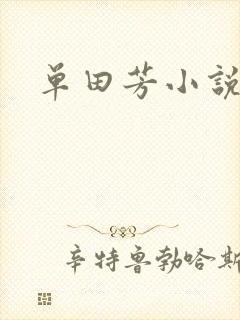 单田芳小说