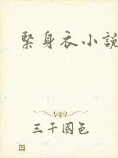 紧身衣小说