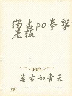 独占po拳击馆老板