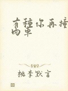 有种你再撞一下肉车