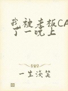 我被老板CAO了一晚上