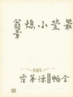 翁熄小莹最新节章