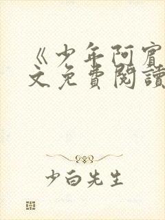 《少年阿宾》全文免费阅读