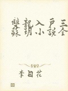 双龙入户三人行苏玥小说全文阅读