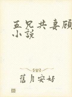 五兄共妻顾心儿小说