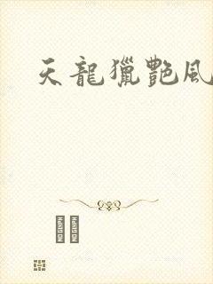 天龙猎艳风流