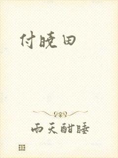 付晓田