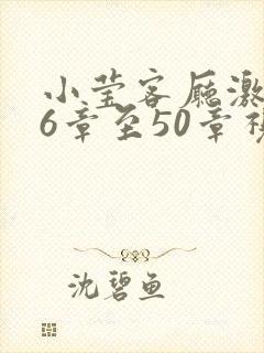 小莹客厅激情46章至50章视