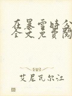 在暴雪时分小说全文免费阅读