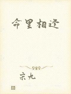 命里相逢
