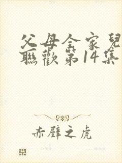 父母全家儿女大联欢第14集