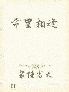 命里相逢