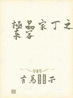 极品家丁之远方来客