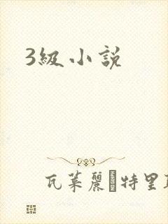 3级小说