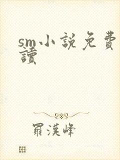 sm小说免费阅读