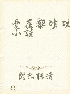 爱在黎明破晓前小说