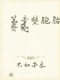 第章双胞胎姐妹齐飞