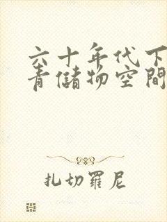 六十年代下乡知青储物空间