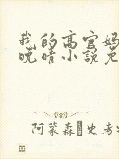 我的高官妈妈苏晚晴小说免费阅读