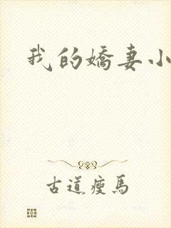 我的娇妻小说