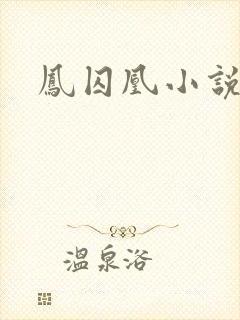 凤囚凰小说