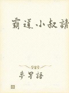 霸道小叔请轻撩