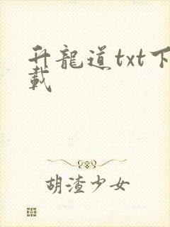 升龙道txt下载